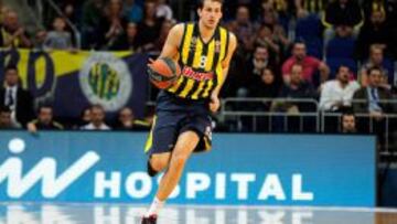 Nemanja Bjelica.