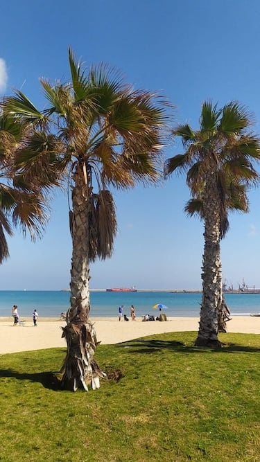 
Continúa desde San Lorenzo y también está junto al paseo marítimo. Su nombre proviene de las embarcaciones pesqueras rifeñas. Cuenta con bandera azul, lo que garantiza calidad ambiental y buenos servicios.