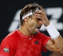 David Ferrer, cuarto español en octavos tras una batalla