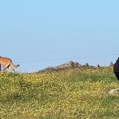 Las incógnitas de la desaparición de Vicente, tras ganar 1M de euros en la Lotería: “Se lo han llevado”