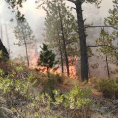 Incendio en Veracruz provoca evacuación de 2 mil personas