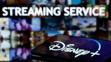 Disney quiere que se desestime una demanda porque el esposo de una mujer que murió en uno de sus parques tenía una suscripción a Disney+.