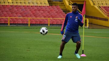 Frank Fabra, lateral izquierdo de la Selecci&oacute;n Colombia