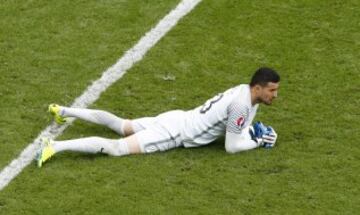 Danijel Subasic.