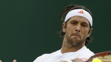 Ferrer y Verdasco se clasifican para la tercera ronda