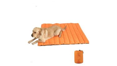 Reunimos 10 accesorios para perros que harán sus cuidados más sencillos y prácticos