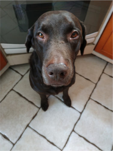 Reseña: Xiaomi Redmi Note 5