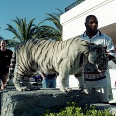 What is Mike Tyson’s net worth? How much money did he make during his boxing career?