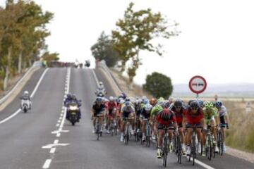 El pelotón de cabeza a 15 kilómetros de la meta de la octava etapa de la Vuelta Ciclista a España 2014, en su 69 edición, que ha partido de Baeza (Jaén) y ha terminado en Albacete, con una distancia de 207 kilómetros. 