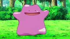 Esta carta de Pokémon Pocket esconde un reto visual: ¿puedes encontrar todos los Ditto?