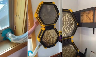 A 13-year-old responds to the threat to honey by printing a beehive for 40,000 bees