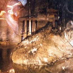 El pie de elefante, el objeto más peligroso de la Tierra: cinco minutos al lado y posible muerte en dos días