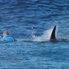 Tamayo Perry, tiburones en Hawái y el ataque a Mick Fanning