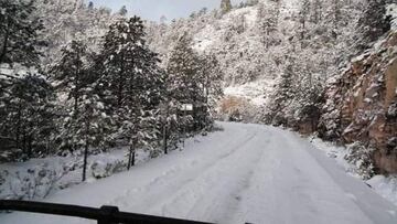 Frente frío 14: qué municipios de Durango fueron cubiertos de nieve y por qué