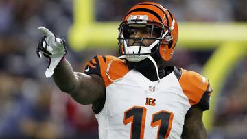 El receptor pasó su último año en los Bengals. Su llegada a Oakland se da debido a que el cuerpo de receptores en la Bahía cambió radicalmente últimamente.