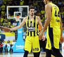 De Colo y Westermann, bajas en el Fenerbahçe por lesión