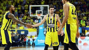 De Colo y Westermann, bajas en el Fenerbahçe por lesión