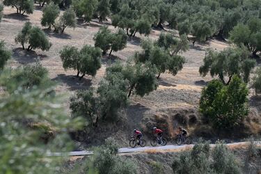 Ion Izagirre, Mauro Schmid y Sam Oomen durante la escapada de la octava etapa.