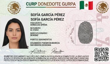 Así puedes conseguir tu cita para actualizar la CURP Biométrica antes de la fecha límite