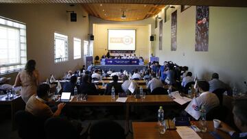 Timonel de Palestino será el candidato del bloque opositor