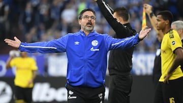 Schalke sack David Wagner after just two games