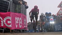 Bernal es el patrón