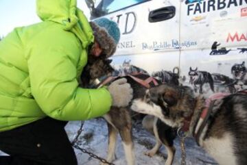 Iditarod: 1.000 km por el desierto de hielo de Alaska