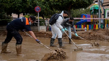 Varias personas colaboran en la limpieza de Paiporta, a 8 de noviembre de 2024, en Valencia, Comunidad Valenciana (España). Diez días después de la tragedia, los servicios de emergencia apuran hasta el límite la búsqueda de desaparecidos por la DANA en Valencia. El número de víctimas mortales se mantiene en 219 y los desaparecidos por el momento, son 78. Hoy, el Gobierno ha anunciado que el próximo Consejo de Ministros aprobará nuevas ayudas para los afectados de la DANA, que se van a poder devolver en cinco o siete años.
08 NOVIEMBRE 2024;DANA;RIADA;INUNDACIÓN;VOLUNTARIOS;VALENCIA;COMUNIDAD VALENCIANA;
Eduardo Manzana / Europa Press
08/11/2024