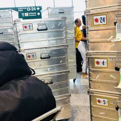 Las maletas de los sueños de la Selección, listas para viajar a Rusia