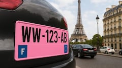 Francia aprueba las matrículas de color rosa: ¿qué significan?