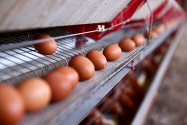 Egg prices still sky-high? Creative Easter alternatives you’ll love this year