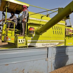 India para sus exportaciones de trigo