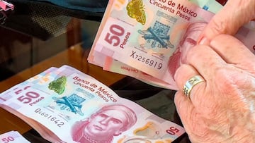 El próximo pago de la Pensión IMSS se entregará a los jubilados y pensionados hasta el mes de agosto del 2025.