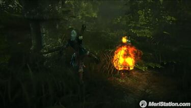 The Witcher 2: Assassins of Kings