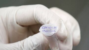 La Organización Mundial de la Salud confirmó que hay seis vacunas en fase avanzada y que han dado resultados positivos para combatir frente al coronavirus