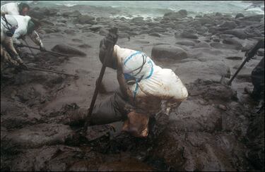 Decenas de voluntarios limpian las playas de la costa gallega. 