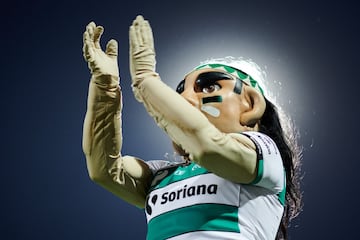 Representante del espíritu de la ciudad de los grandes esfuerzos, Guerrero es la mascota oficial del Santos Laguna.