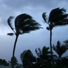 Peligro en estas regiones de Yucatán por paso del huracán Milton; suspenden clases y actividades