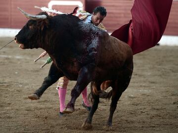 El torero Iván Fandiño recibió una cornada mortal de un toro de la ganadería Baltasar Ibán en la plaza francesa de Aire Sur L'Adour, 