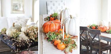 ?Cmo hacer una decoracin casera con calabazas decoradas en Halloween 2024?