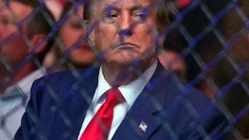Trump banned from 37 countries as a convicted felon