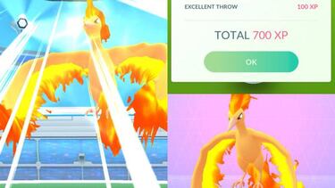 Ya podemos capturar a Moltres en Pokémon GO