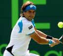 Tommy Haas aguarda a David Ferrer en semifinales de Miami