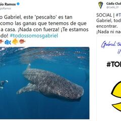 Deportistas y famosos se vuelcan para buscar al "pescaíto" Gabriel