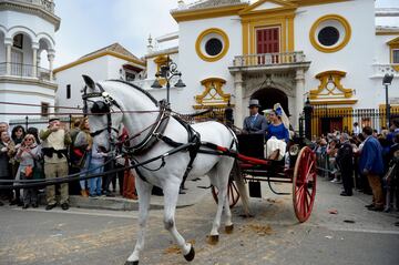 Real Club de Enganches de Andalucía organiza la ya tradicional Exhibición de Carruajes en la Real Maestranza de Caballería.