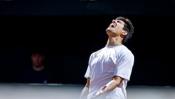 Duro golpe familiar para Cristian Garin