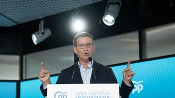 El presidente del Partido Popular, Alberto N¨²?ez Feij¨®o, cobra algo m¨¢s de 70.000 euros anuales como miembro del Senado del partido de la oposici¨®n en Espa?a.