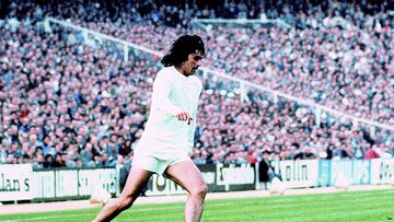 En 1973 jugó en Boca Juniors y en 1975 se trasladó al Real Madrid para jugar hasta 1979