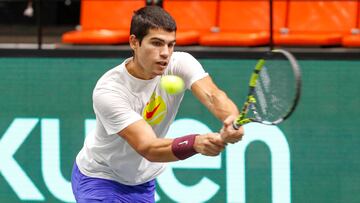 Alcaraz y Bautista, individuales de España ante Canadá