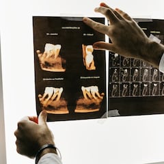 Explora el cuerpo humano: 3 cursos para dominar la imagen diagnóstica